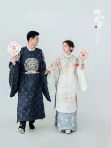 Womens Hanfu Long Shirt Stand Collar Ming Dynasty Wedding Dress Set Chinese Style Wedding Clothes Big Sleeve Traditional Costume