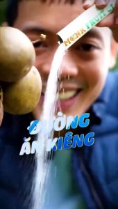 Đường La Hán Quả Monk Fruit CT – Không Calo Ăn Kiêng Keto Giảm Cân Cho Người Tiểu Đường 5g x 20