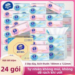 Vinda | Giấy Thấm Ba Lớp Dùng Trong Nhà