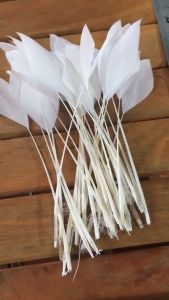 Lông vũ cánh trắng tước cuống (gói 10 chiếc) đính váy áo phụ liệu thời trang handmade