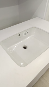 Johnson Suisse Gemelli Rectangular Undercounter Basin WBAAGM200WW
