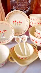 Bộ Bát Đĩa Gốm Sứ Decor Bát Ăn Cơm Bát Ăn Chè Chén Dĩa Dễ Thương Bộ Bát Đĩa Hoa Tuy Lip Đỏ Xinh Yêu Dễ Thương