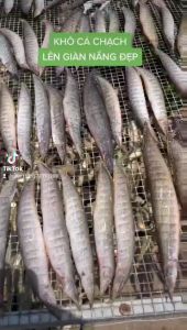 KHÔ CÁ CHẠCH LOẠI 1 thơm ngon béo béo -chiên hoặc nướng xé thịt cá từng thớ chấm nước mắm me hay nước mắm chua ngọt đều rất ngon.