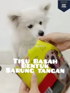 Pet Glove Dono Wet Wipes Sarung Tangan Tisu Basah Lap Pembersih Anjing Kucing Praktis Satuan