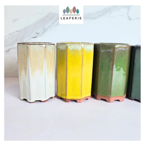 The Leaferie Bonsai (Series 80) Flowerpot  flowerpots . flower pot . plant pots . planter