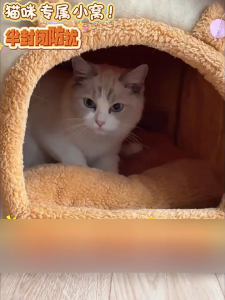 Cozy Plush Cat Bed House - Soft Plush Pet Bed for Cats Multiple Colors New