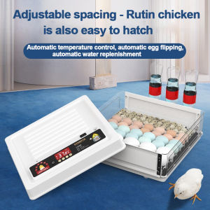 Incubator Fully Automatic Small Egg Incubator Household 220V Intelligent Egg Incubator Constant Temperature Incubation Automatic Flipping Household Rutin Small Egg Incubator 12/24/48/64/130 pieces fully automatic Intelligent Dual Electric