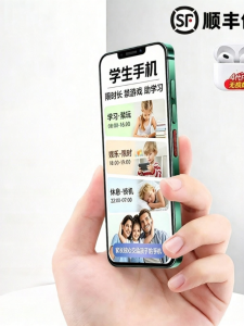 Student Use Restricted Functionality Phone WeChat Scan And Pay With DingTalk Localization Feature