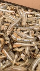 ikan asin teri bulat