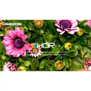Changhong QLED TV 43 inch 4K Google TV Smart TV Dolby Audio DBX-TV Play Google Assistant U43QCN1