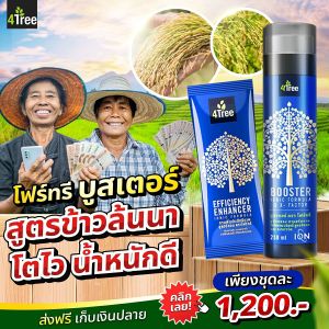 4tree โฟร์ทรี อ้อย ข้าว มันสำปะหลัง คู่หูโฟร์ทีร บูสเตอร์ พลังคูณ 4 สารเสริมประสิทธิภาพ ชุดละ 1200 บาท