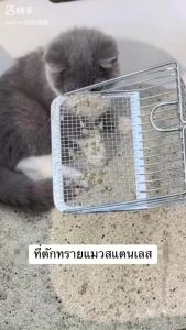 พลั่วตักอึสัตว์เลี้ยงสแตนเลส 2in1 ตะแกรงตักทรายแมว สำหรับร่อนทราย ร่อนฝุ่น ใช้ดี
