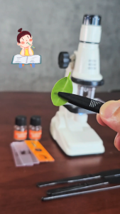 OSSDE Childrens Microscope 200X-1200X Zoom Used for Scientific Microscope Experiments Clear Images