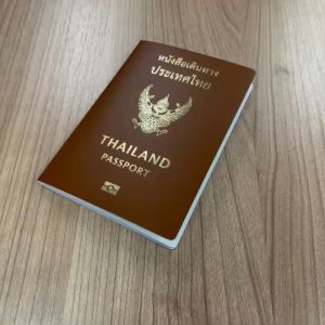 ปกพาสปอร์ต ใส Passport cover (บรรจุแพคละ 100 ใบ)