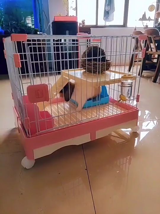 (LeakProof) Rabbit Cage / Cat Cage / Dog Cage / Pet Cage with dual door and dual drawer with