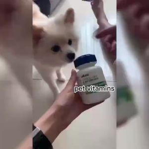 200pcs pet vitamin probiotic calcium tablets Universal for dogs and cats