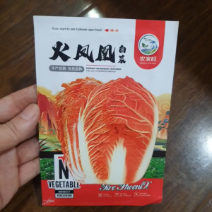 Hạt Giống Cải Thảo Màu Cam Hay Cải thảo Phượng Hoàng màu sắc đẹp lạ- Hoang My food and beauty