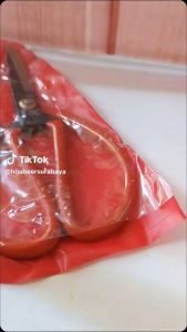 Gunting Kain Serbaguna Gunting Besar Gunting Kodok