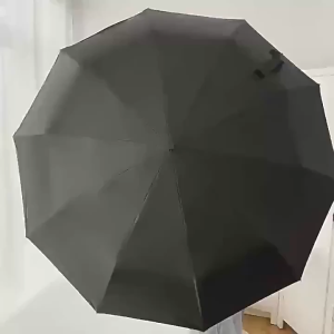 Automatic Big Umbrella With Fun Ring Hook Handle Windproof UV Block Clip & Go Travel Umbrella