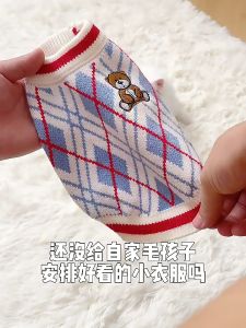 Áo len hình gấu giữ ấm dành cho chó mèo