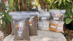 ชุดปลูกพร้อมปลูก พร้อมใช้ ดินโปร่ง ร่วนซุย ใช้กับ ไม้ด่างไม้ฟอกอากาศ ไม้ประดับไม้มงคลทั่วไป แคดตัส ฯลฯ