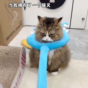 Đồ Chơi Vải Nhồi Bông Dẹt Cho Mèo Tiêu Diệt Chó Tiêu Khiển Giải Trí Tiêu Hao Thể Lực Đồ Chơi Chó Và Mèo Bằng Vải PP Dùng Cho Mọi Lứa Tuổi