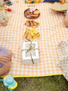 Picnic Camping Mat Beach Random Color Picnic Mat Wild Travel Waterproof Camping Picnic Rug-99 Deals
