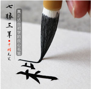 แปรงผมเซเว่นวูล์ฟส์ทรีชีพส์ ขนผสม ขนาดกลาง แบบเรียบ แบบยุโรป แบบคู่ คอลเลกชัน คุณภาพดี