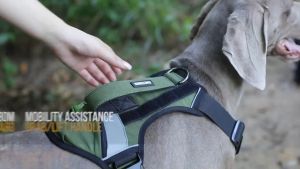 OneTigris เสื้อรัดอกสุนัขสะท้อนแสง GROVER Tactical Dog Harness ชุดฝึกสุนัข เสื้อสัตว์เลี้ยง สายจูงรัดอกสัตว์เลี้ยงชุดหมา