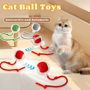 Interactive Cat Toys: Auto Electric Rolling Ball & Kitty Pets Smart Toy