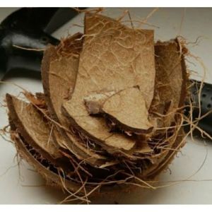 Tempurung Kelapa | Batok Kelapa Kering Berat 1 Kg
