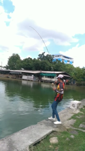 คัน ALASKA (อลาสก้า) เวท 20-40 เนื้อคันเป็นการ์ไฟท์ แบลงค์ลายตุ๊กแก -ด้ามไม้ก๊อก -ไกด์ทรง K เหมาะสำหรับงานหน้าดินและสปิ๋วและสายโหด