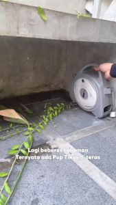 RACOON Rat Repellent Spray Pengusir Tikus + Disinfectant Spray Tidak Beracun Tahan 6 Bulan 1x Pemakaian