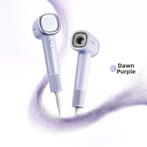 Panasonic | Negative Ion Silent High Wind Power Hair Dryer