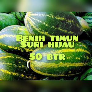 50 BUTIR BIJI/BENIH TIMUN SURI HIJAU