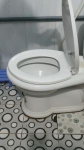 Nắp Bồn Cầu Rơi Êm Chấn Hùng Nhựa PP Dày Dặn Cho Bồn Cầu 2 Khối Chất Lượng Cao