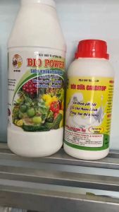 Bộ đôi trừ bệnh Thán thư đốm vòng xì mủ rỉ sắt sương mai phấn trắng nấm hồng - Bio Power + Vôi sữa Calcitop - phân bón cao cấp