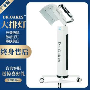 Professional Beauty Salon LED Light Therapy Device Red And Blue Light Acne Treatment Facial Beauty Instrument Skin Rejuvenation