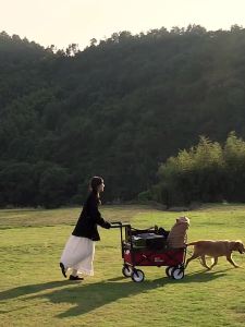 Camping Cart Trolley Wagon Trolley Folding Portable Camping Cart Trolley Camping Trolley Cart Camping Push Rod Handle Modification Folding Push up Universal Reverse Push Rod Folding 露营车