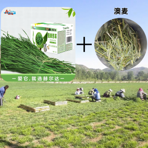 Dried Timothy Grass for Chewing Rabbits Chinchillas Guinea Pigs 750g