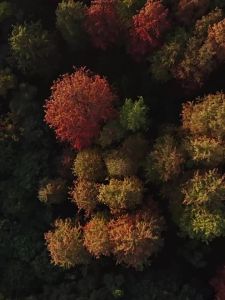 NatureHike | Lều Lớn Chống Lạnh Chống Mưa Chống Gió