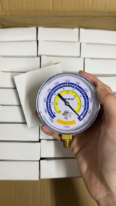 DSZH ไมครอนเกจแบบเข็ม รุ่น WK-18VG ขนาดหน้าปัด 80mm ขนาดเกลียว 1/8" NPT