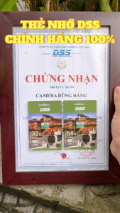 Thẻ Nhớ DSS 128GB/64GB/32GB Tốc Độ Cao Chuyên Dụng Cho Camera Wifi Camera Hành Trình Điện Thoại