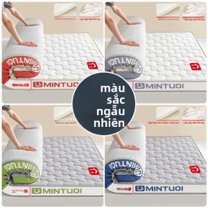 JIFANPAUL | Nệm Latex & Memory Foam Đơn Dùng Cho Gia Đình Ký Túc Xá