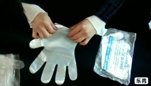 (100 PCS) PE Glove Disposable Transparent Polyethylene Food Grade Kitchen Cleaning Dining Catering Sanitary Protection