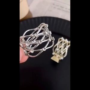 Chang กิ๊บหนีบผม สไตร์สาวเกาหลี กิ๊บติดผมหางม้า แฟชั่นเกาหลีสำหรับผู้หญิง Hair clip