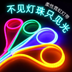 LAISILIMANWEI | Flexible Outdoor and Indoor Waterproof Blue and Purple Light Deco Strip Light 220v
