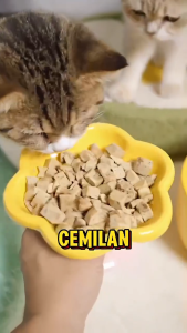 Bite of Wild Pet Treats Freeze Dried 40 Gr / Snack Kucing Anjing