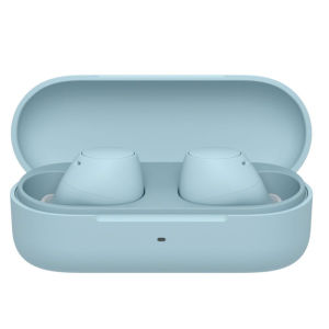 Sony | True Wireless Bluetooth In-ear Headphones