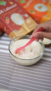 Nayz Bubur/Tim Sehat Organik Mini Tematik 50 gr - Puree Bayi